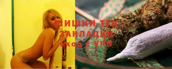 тгк Дмитров