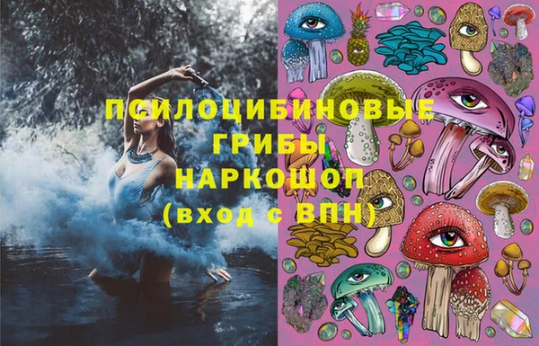 твердый Дмитриев