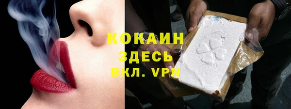 твердый Дмитриев