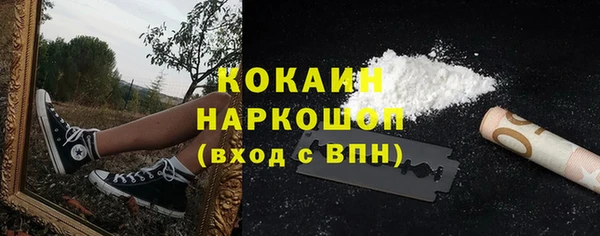 тгк Дмитров