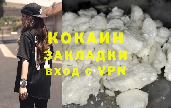 твердый Дмитриев