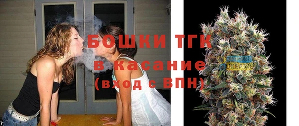 твердый Дмитриев