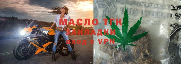тгк Дмитров
