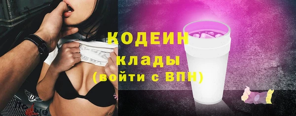 твердый Дмитриев