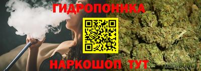 ECSTASY Гусев