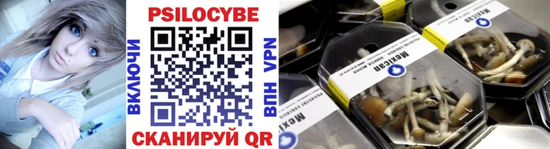 Псилоцибиновые грибы GOLDEN TEACHER  omg сайт  Нурлат  купить наркоту 