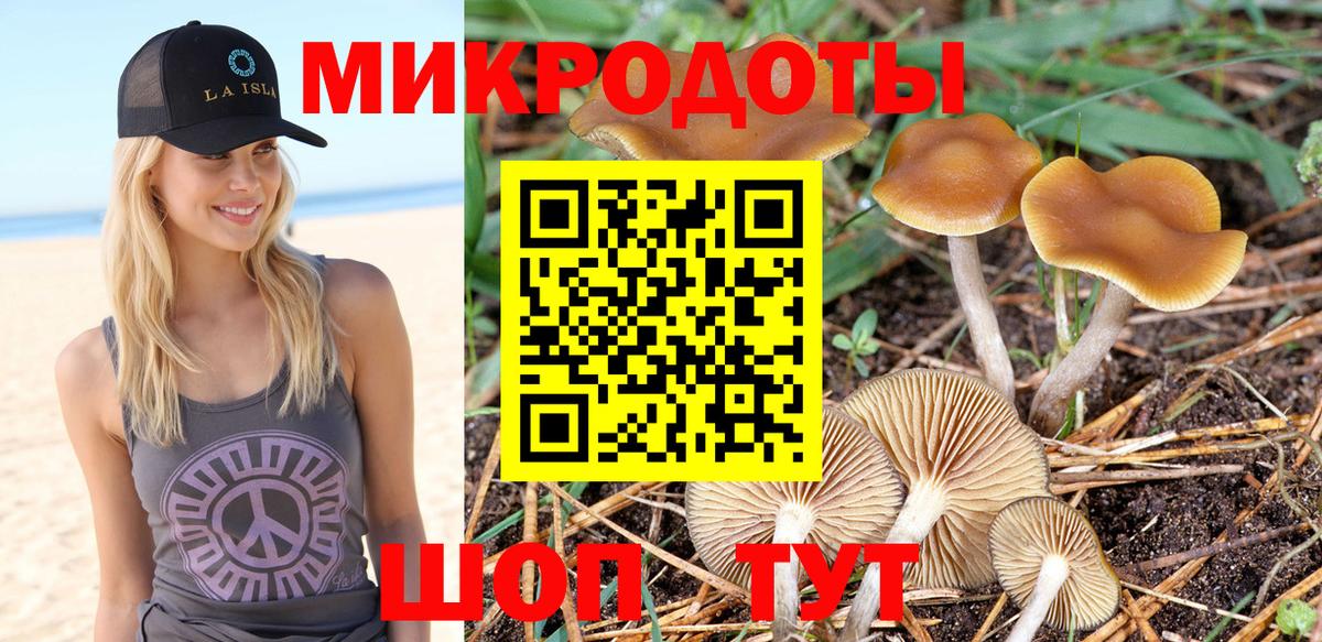 Нурлат  Псилоцибиновые грибы Psilocybine cubensis  Вход с VPN  Галлюциногенные грибы прущие грибы 