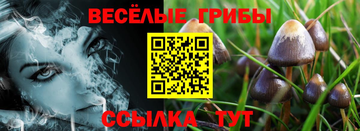 Галлюциногенные грибы мицелий Нурлат